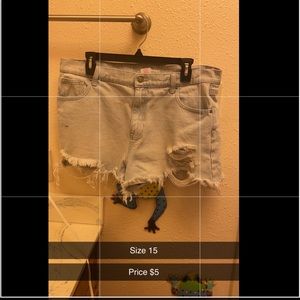 NoBo, high-rise, size 15